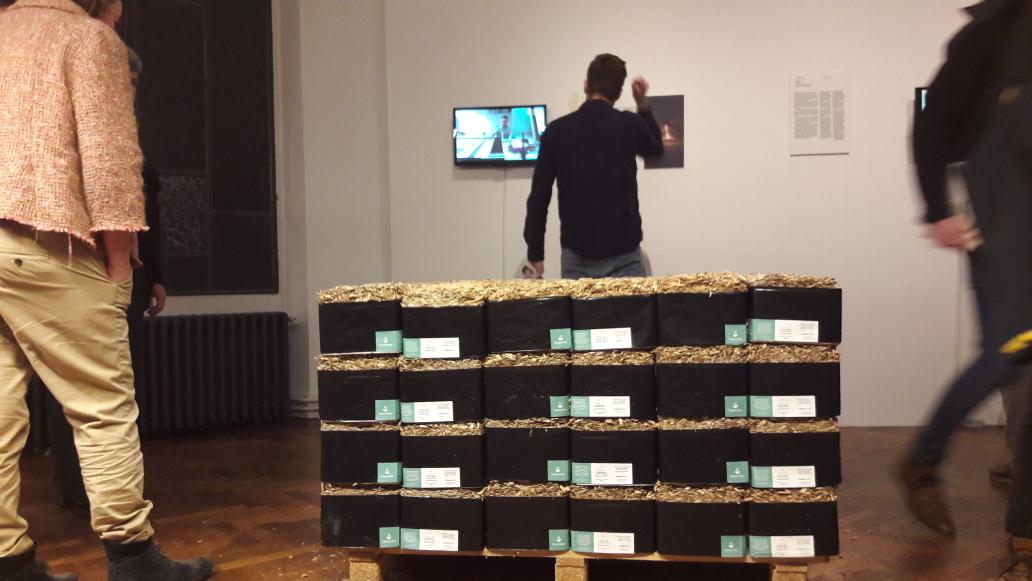 bartdooms's tweet photo. @haspenwood #haspencubes op de tentoonstelling van #HVDV16 at @BOZARbrussels winnaar of #HVDV16 efficiency award https://t.co/FMSWygzCTH