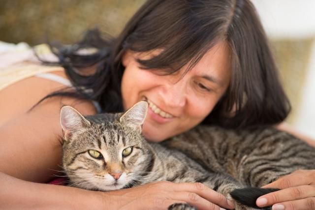 ArKfund's tweet photo. Want to make your cat's day? Here 10 things #cats really love: https://t.co/TG5PVwk8Tl #pets #petcare #kittens #cat https://t.co/5q2RTRWVgm