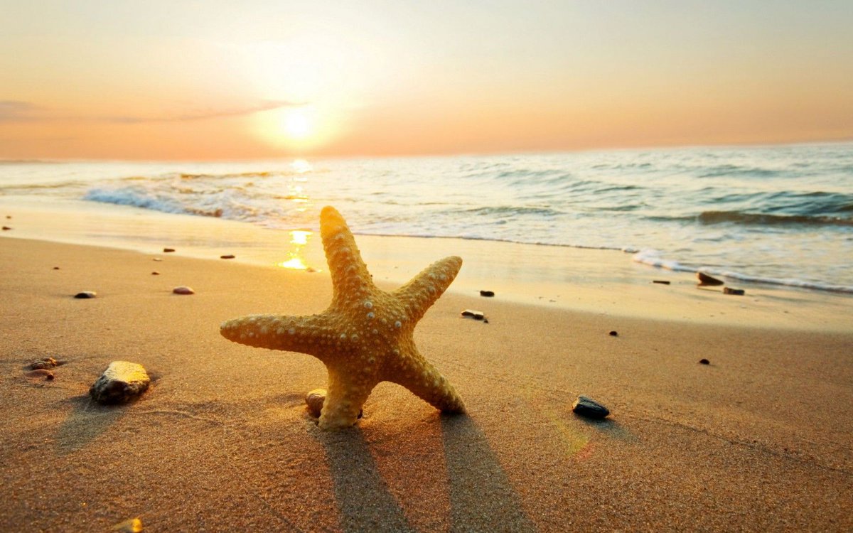 Everyone has a light within them - a dream chaser, a star gazer, a sun goddess. Always let that light shine #spreadbliss