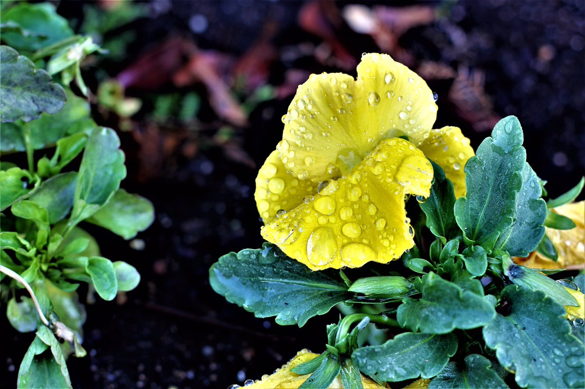 PurposePP's tweet image. 📸: purpose productions
Book us for your next Event, Photoshoot, whatever you are doing that we can capture. WE WILL!