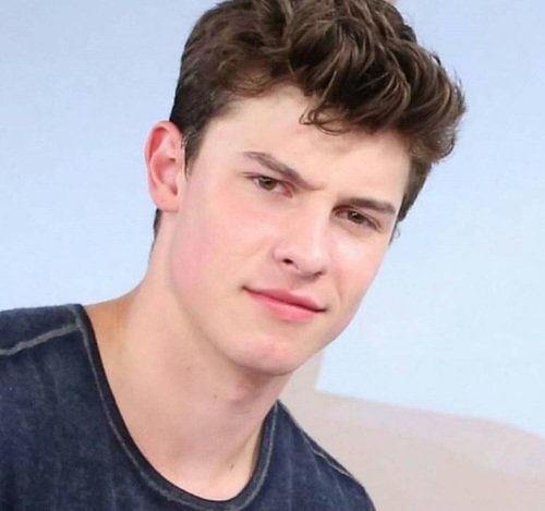 ShawnTrueLove's tweet photo. Quando você tem um FC para o Shawn e a pessoa vem perguntar se você é fã dele. WTF? #BestFanArmy #MendesArmy #iHeartAwards https://t.co/JC9tgNZTUl