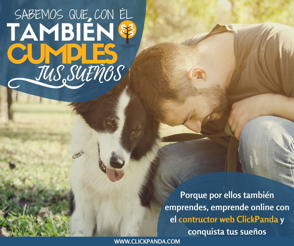 Click_Panda's tweet photo. Porque por ellos también emprendes, emprende online con el #ConstructorWeb ClickPanda. https://t.co/sJuClzEexN #emprender #Marketing https://t.co/NJJSISK20t