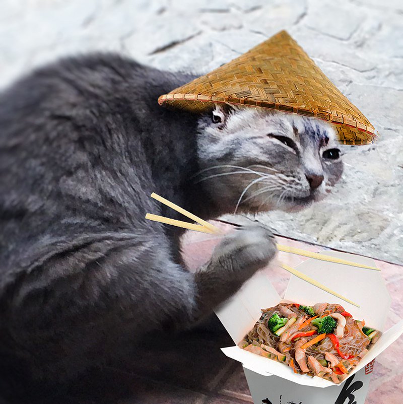 kostyacosmo's tweet photo. =^-_-^= https://t.co/S8fALk6pqP