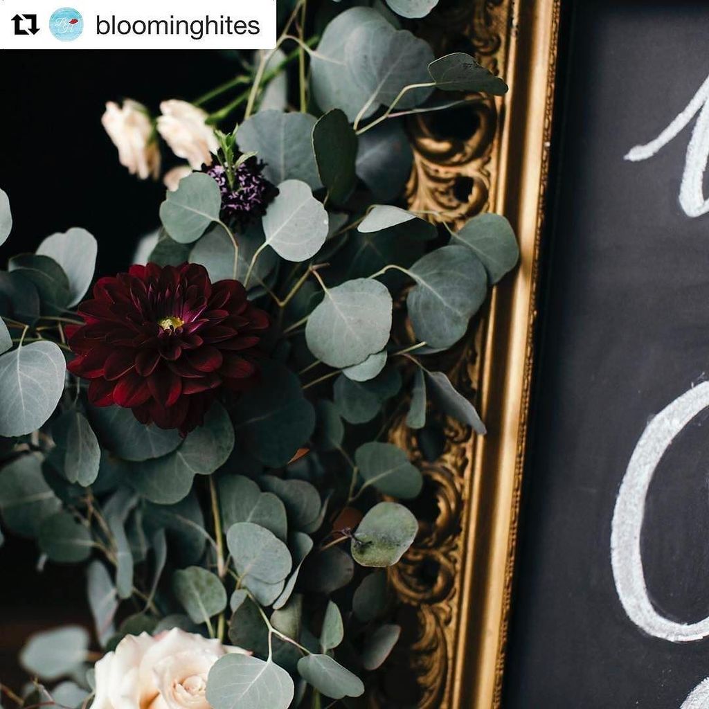 Feeling alll kinds of moody lately..... One of our most delicious wedding shoots we have s… ift.tt/2jtlNzs