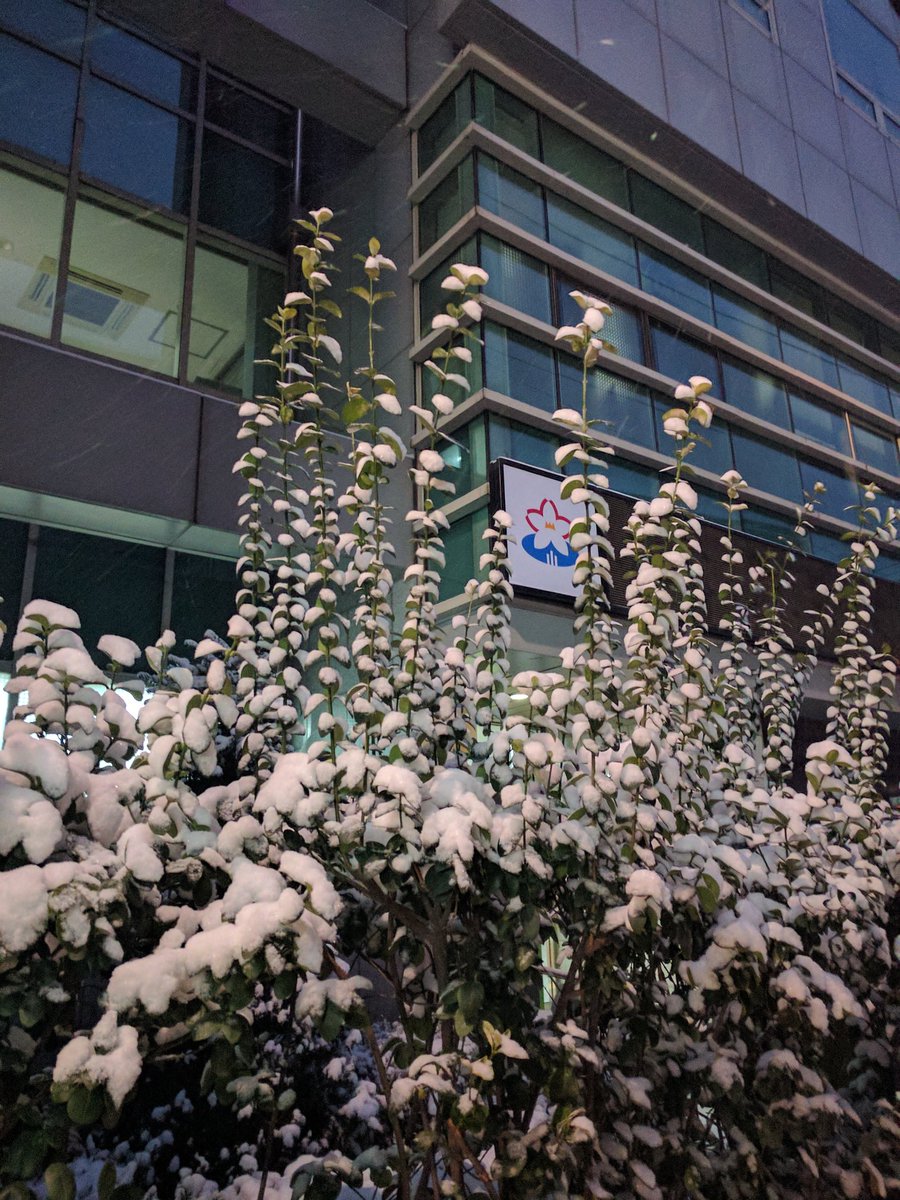 #성남시 #중원구 #상대원1동 대설로 비상근무 중입니다! 중원구청장님도 방문하시고, 염화칼슘과 제설인원이 함께 출발했습니다! #출근길 조심조심, 그러나 조금만 서둘러주세요!