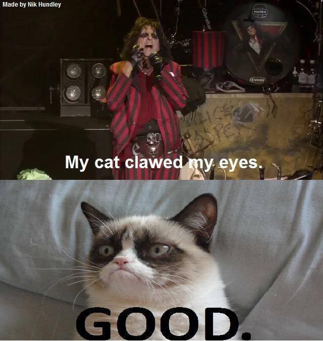 NightswithAlice's tweet photo. Meow! Minion Nik Hundley sent in this original meme to us! https://t.co/58fZNt4n6H
