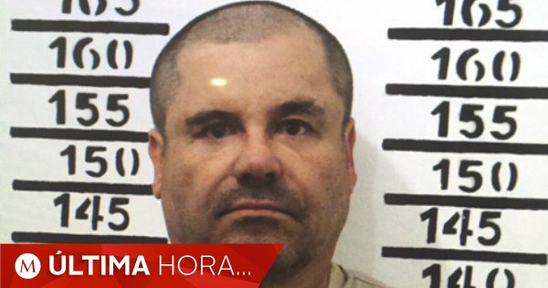 Milenio's tweet photo. #ÚLTIMAHORA | Extraditan a Joaquín "El Chapo" Guzmán a Estados Unidos https://t.co/GxUyGWu0lp https://t.co/YrLI1TmLOc