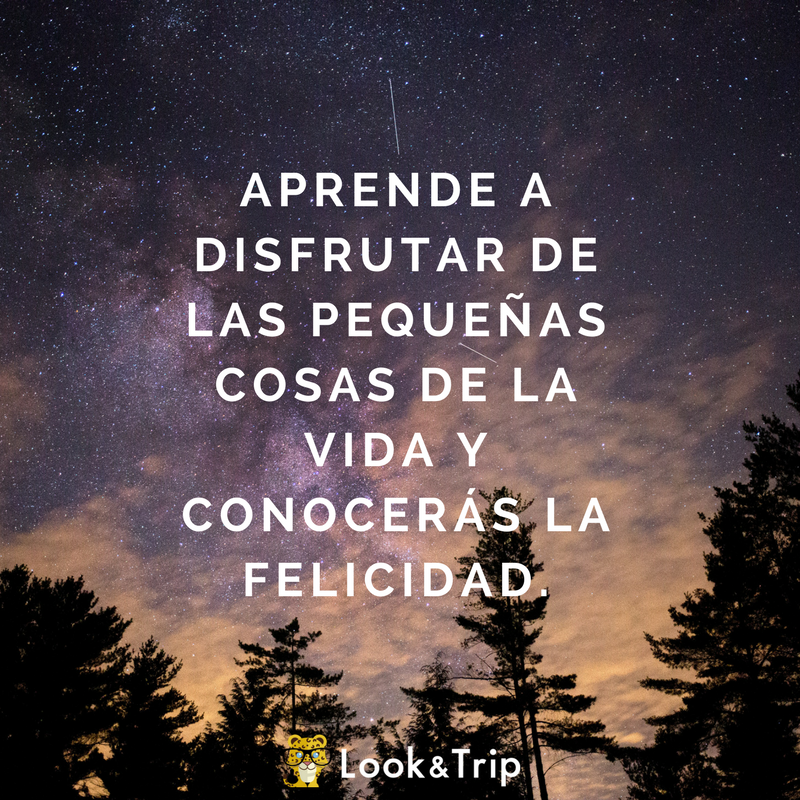 Look and Trip tweet media