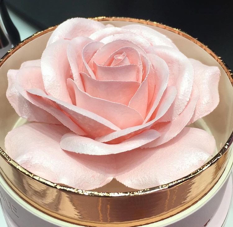 Trendmood's tweet photo. NOW Available!!! LINK ➡ https://t.co/GNhx0nd0Li 😍 🌸 online  @Nordstroms @LancomeUSA #AbsolutelyRose #Collection 🌸 La Rose  📸@reeneb0ts https://t.co/CaSbbvhtLc