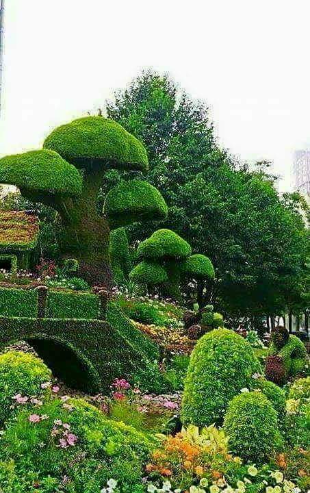 #جـمـــــعه.مبـــــــاركه 

صباحڪــم حـــدائـق مـــن الـــــــــورود
صباحڪـم جميل  كـجمـال اخـــــلاقــڪــم الــطيبه

​ صـــباح الياسمين