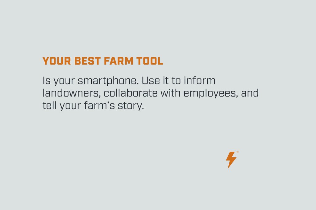 Barnstorm tweet media