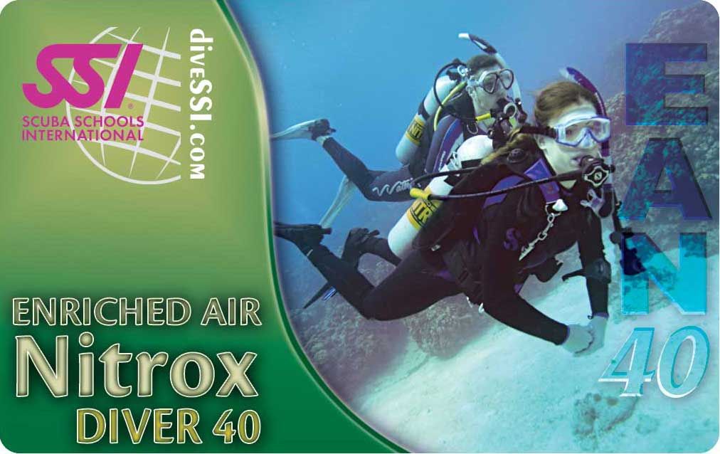 Neptune Divers tweet media