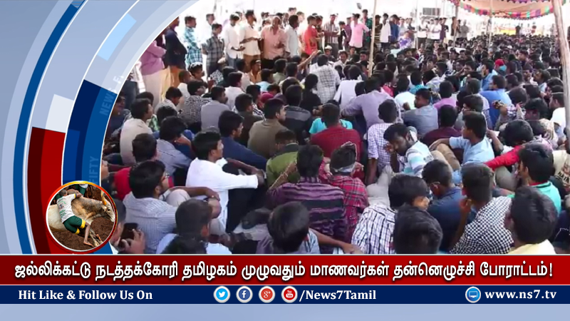 news7tamil's tweet photo. தமிழகம் முழுவதும் தீவிரமடையும் மாணவர்களின் தன்னெழுச்சி போராட்டம்! 

விவரம்: https://t.co/lRUv0QJzC9 | #JusticeforJallikattu #SaveJallikattu https://t.co/rEPYMyt1XD