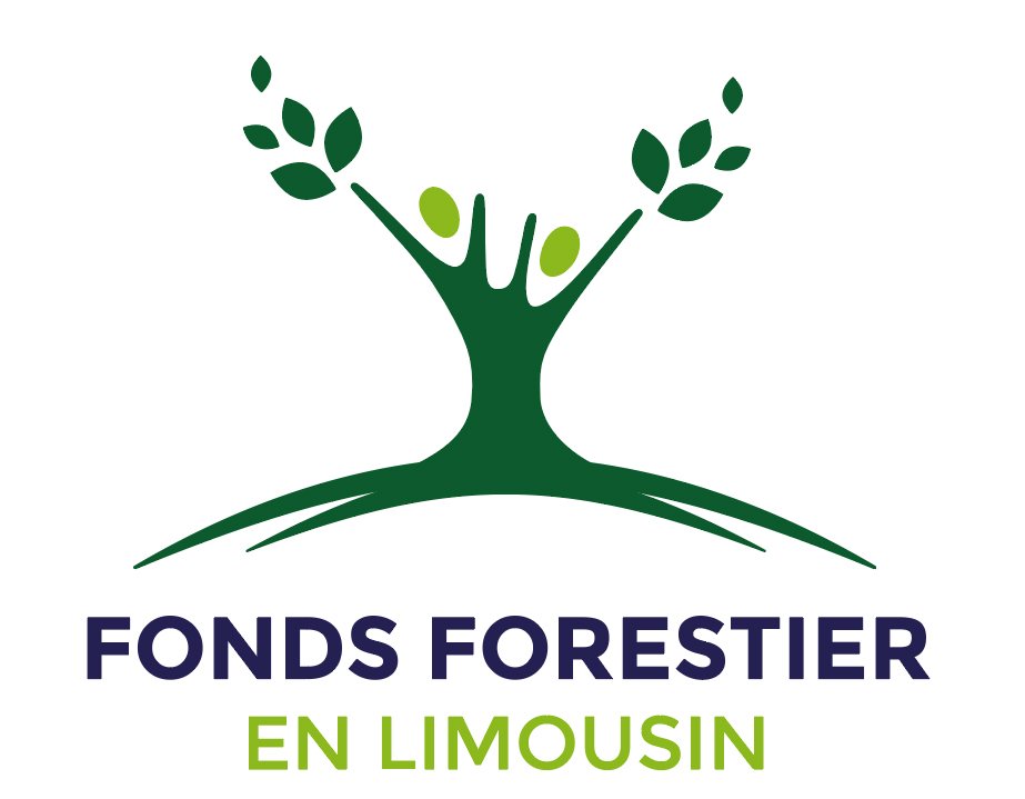 FondsForestLim's tweet photo. #Journéedelancement #20janvier2017 #ffl #forêt  #plantation
Nous voila ! https://t.co/iaoqQj3V5h
