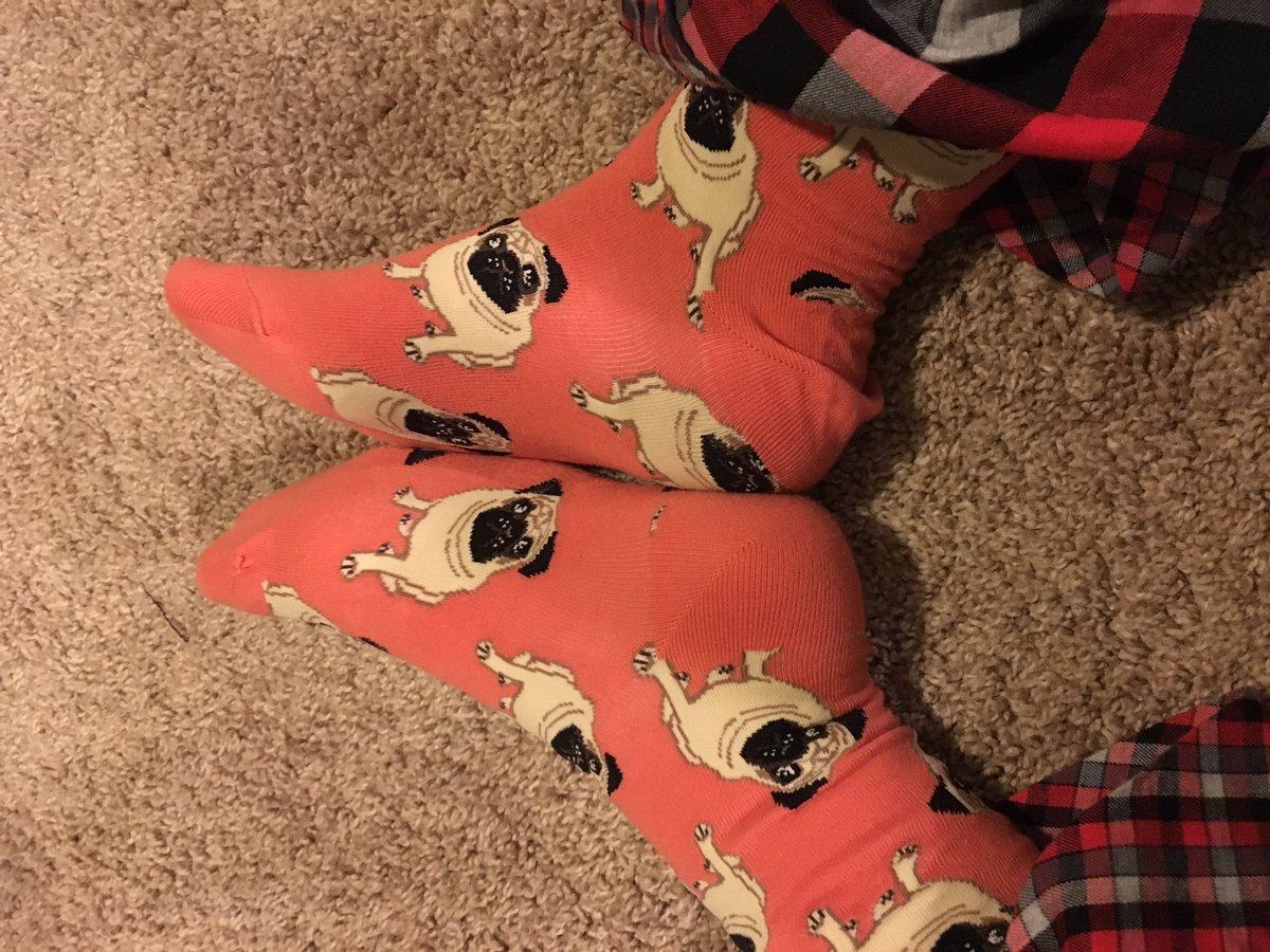 I kind of love pugs 🙃