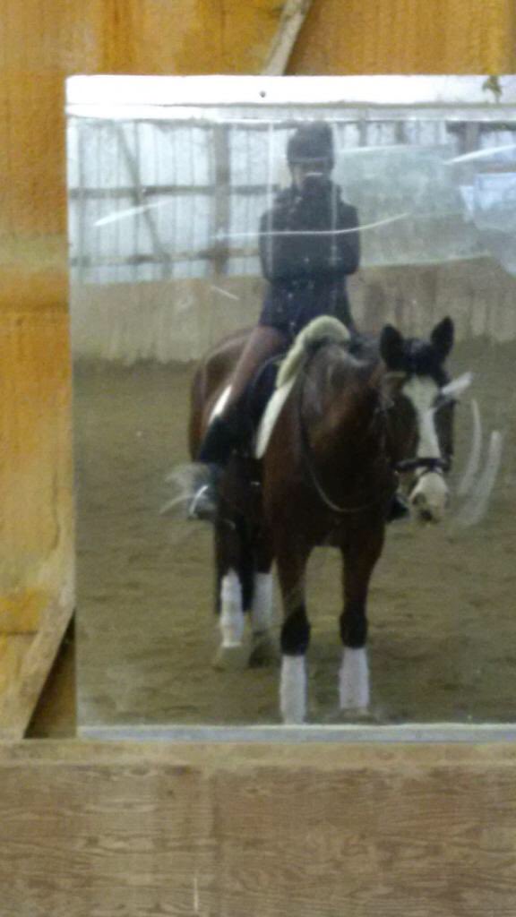 DressageAmanda9's tweet photo. #shoulderin #transitions #20mcircles #2ndlevelprep #reachinggoals https://t.co/CbZ6FepMbu