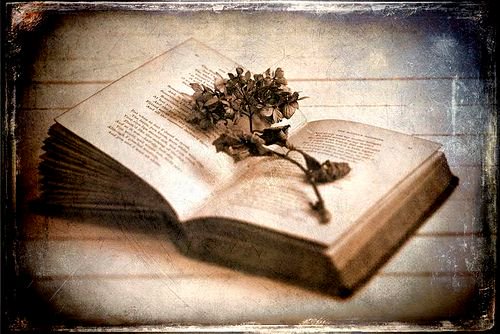 #Books help us understand who we are and how we are to behave. They show us how to live and die.
Lamott
#writing