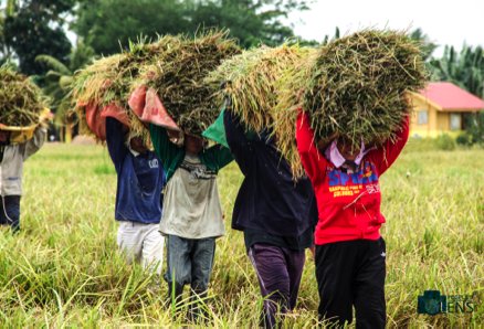 IBONFoundation's tweet photo. Genuine, equitable distribution of land, rural assets necessary starting point of rural development #JustPeace https://t.co/ibibvuOPP8 https://t.co/72yVhNYqff
