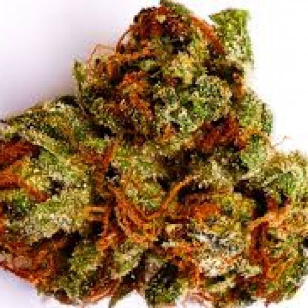 budsonwheelsoc's tweet photo. #Strawberry #Amnesia! #marijuana, #medicalmarijuana, #Cannabis, #weed, #kush, #medicalcannabis Buy at https://t.co/4FMQaxBXZf https://t.co/eLc9N14LUa