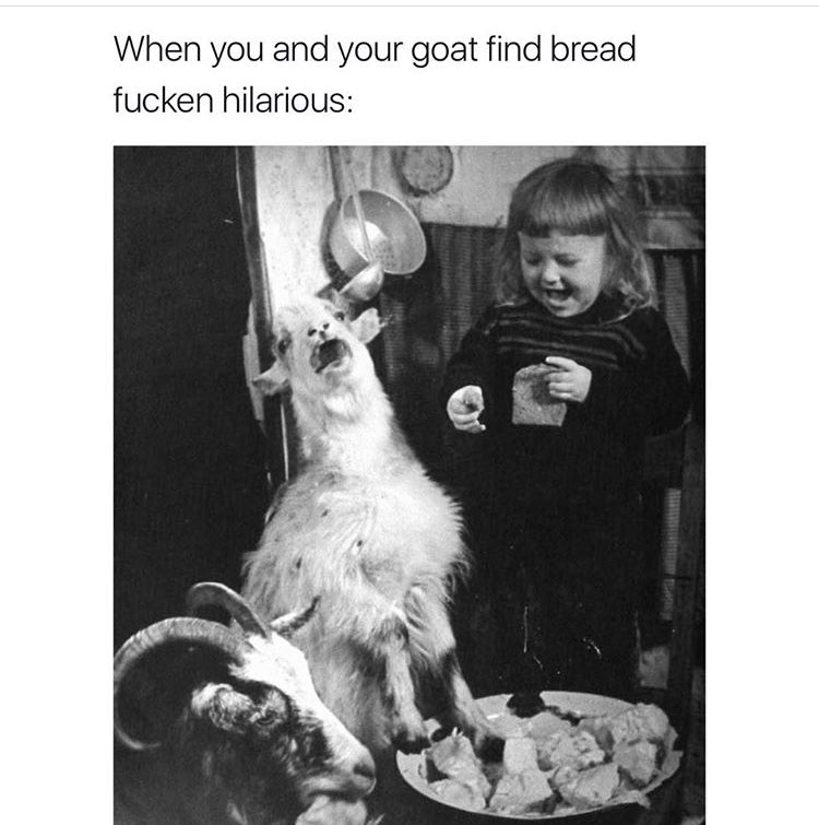 shybread's tweet image. I fail to see the humor in this.