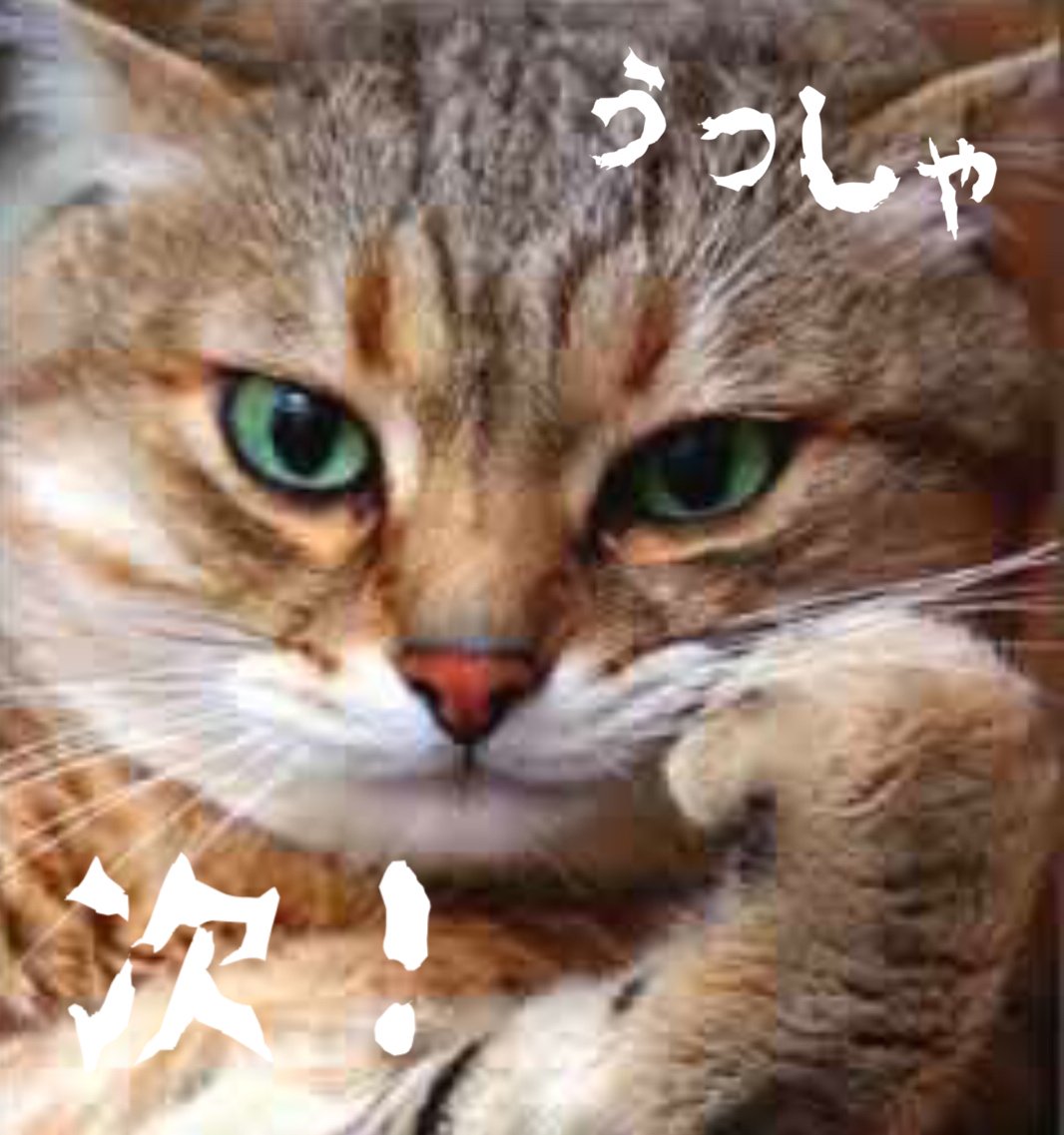 mtaro884's tweet image. 全国腕相撲選手権にて(・∀・)