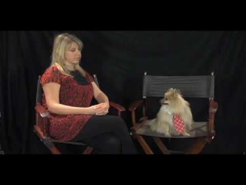 Happy birthday to dancer, singer, author and actor Jodie Sweetin.   