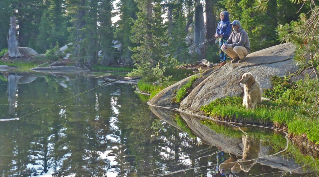 CAFishingForum's tweet image. CDFW Releases New Guide to Heritage Trout Challenge fishincalifornia.com/2017/01/19/cdf…