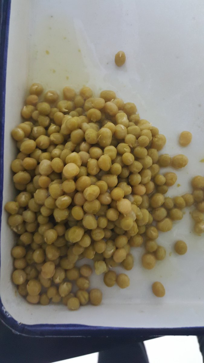 Bestmaker_Food's tweet photo. Cannot wait to show our #CannedBeans to our business fellows in #Dubai #Gulfood Best quality and price for #BraodBeans $4.45 FOB LIANYUNGANG https://t.co/4x5kxyqy0A