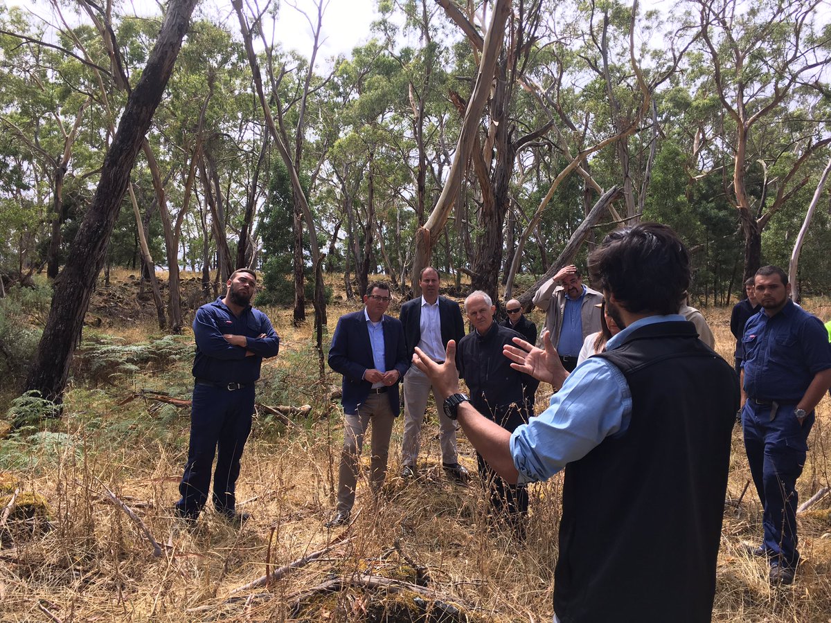 JoshFrydenberg's tweet photo. Historic announcement of Fed Govt support with @TurnbullMalcolm &amp; @DanTehanWannon for Budj Bim Cultural Landscape world heritage listing https://t.co/QSh2r5T4QI