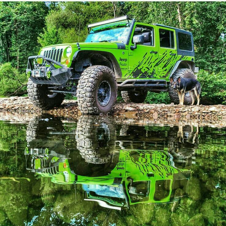 Myjeepporn's tweet photo. Lifted wrangler. 💪😎 https://t.co/o5xraDe1Fs