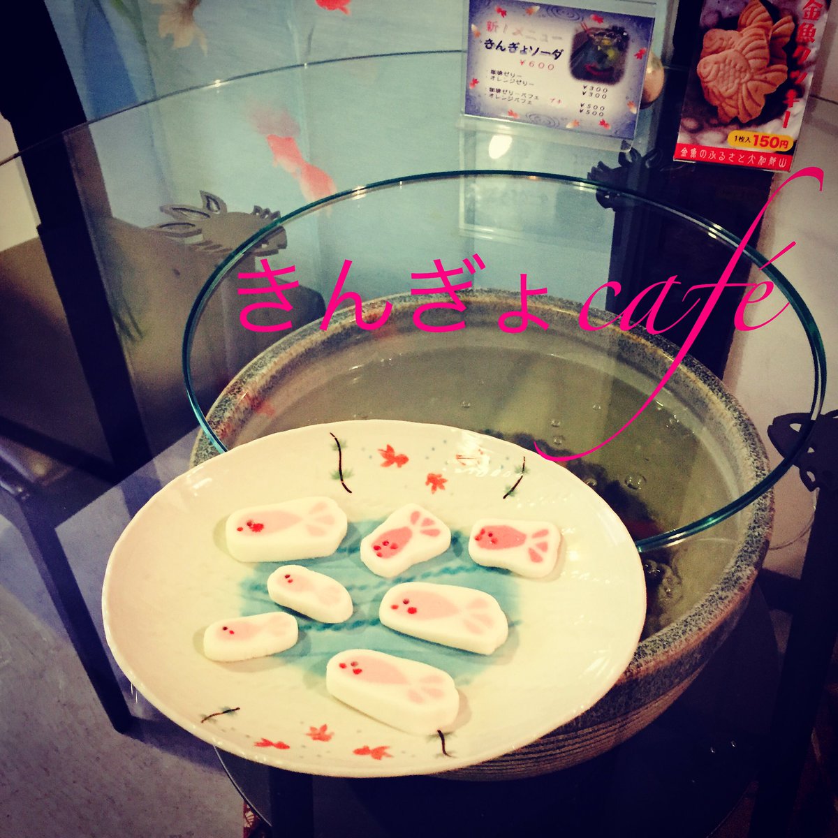Cafe7716's tweet photo. ＊金魚☆デコもちレッスン
日時:
  1/25(水) 14:00〜15:30
参加費:
  ¥2.700(お飲物+試食付)
定員:
6名様(残席3)
講師:デコもちマイスター
         青山さおり https://t.co/yPQTLiFotp