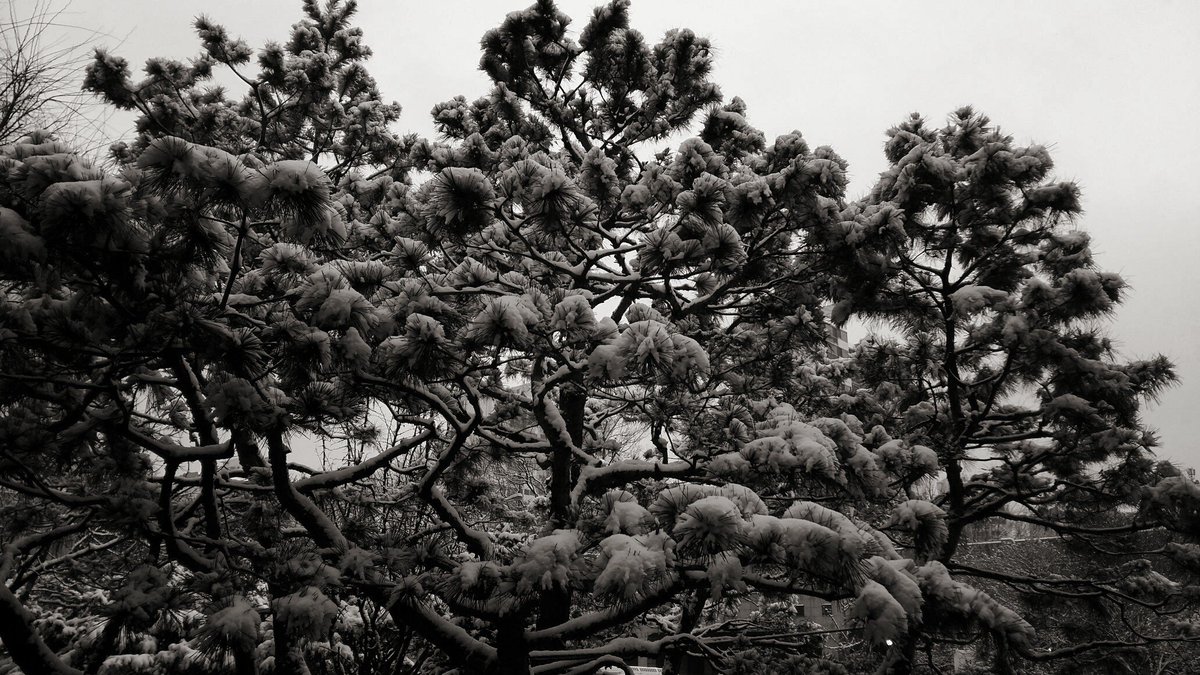 최창섭 (@ch2s0409) on Twitter photo 