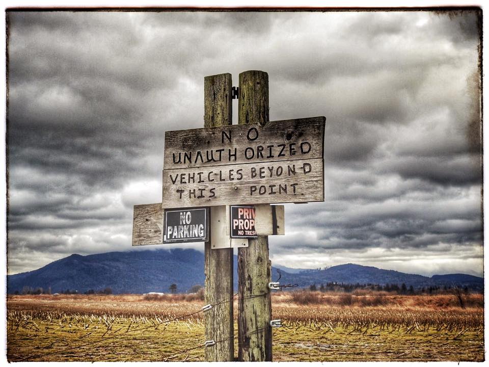 Tara_Almond's tweet photo. Somewhere in Bow, #Washington. #EdisonWA #WashingtonState https://t.co/LmxCbTgkTI