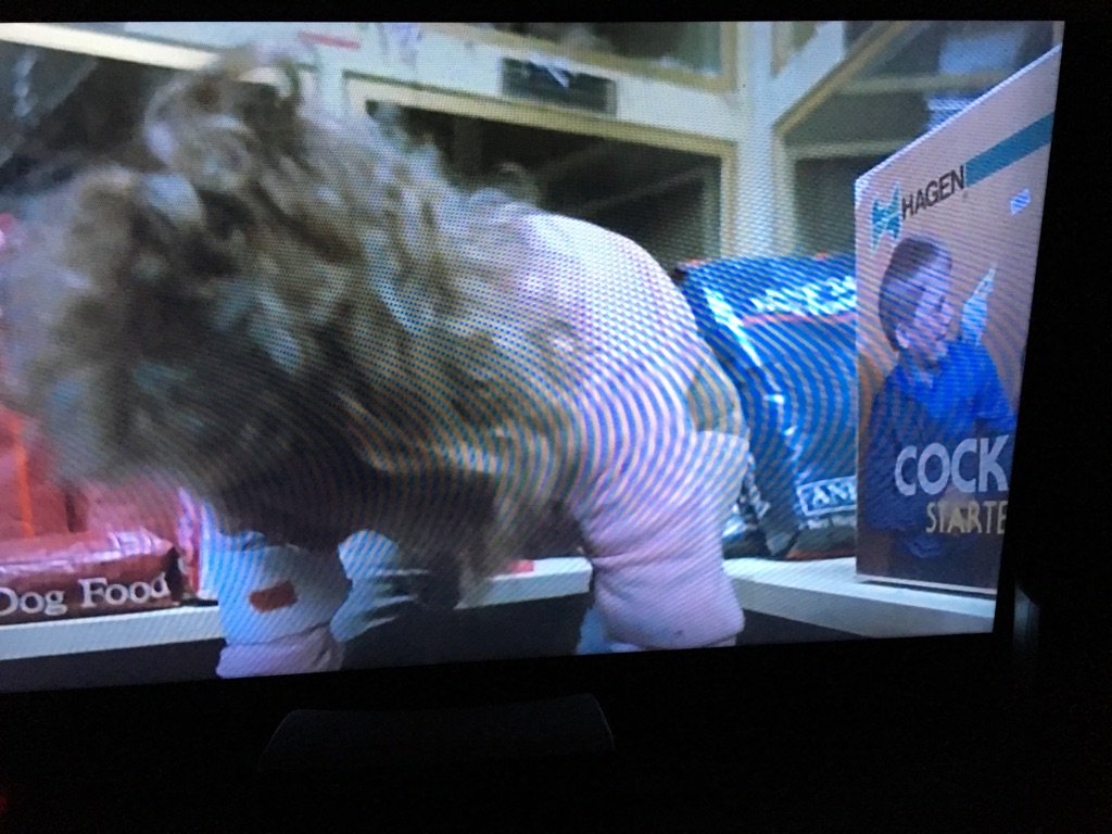 Stevelsikora's tweet photo. Framing is important. #choppingmall #cockstart https://t.co/gm3fcGhhH3