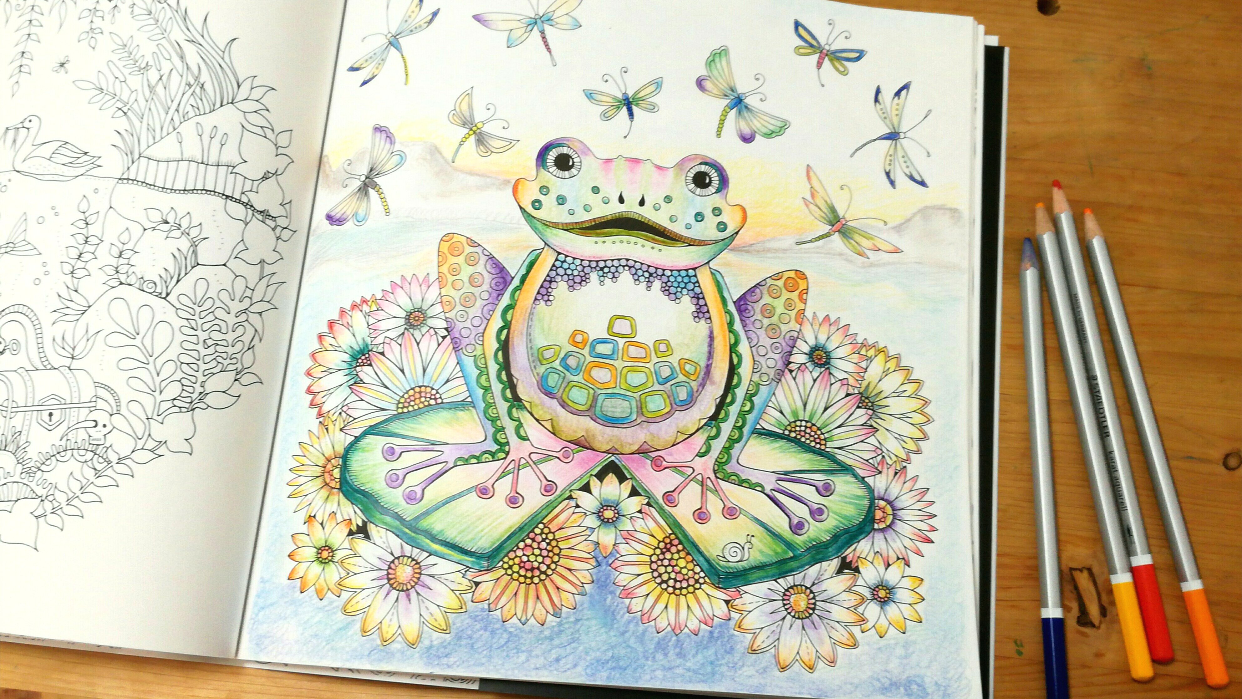 ペンギソ 本日の塗り絵おわり 神々しいかえる を想像して塗ってみました 今回水は使わず 大人の塗り絵 ねむれる森 水彩色鉛筆 T Co 9jb6fszahv Twitter