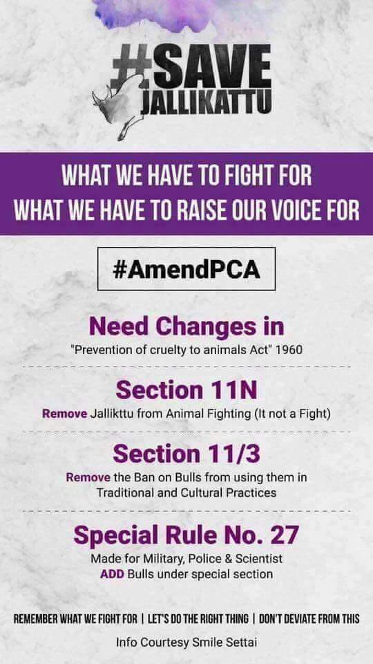 nandakumar3008's tweet photo. #AmendPCA #JusticeforJallikattu #Jallikattuprotest https://t.co/QqamSPr5IW