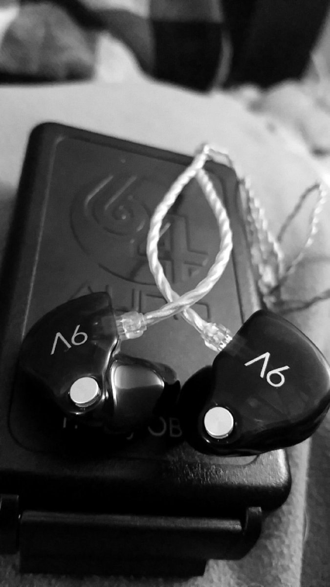 Ttimyy's tweet photo. Simply amazing... Love my 64 ears!  #64audio #A6 #heareverything https://t.co/qrQgWzcYF6