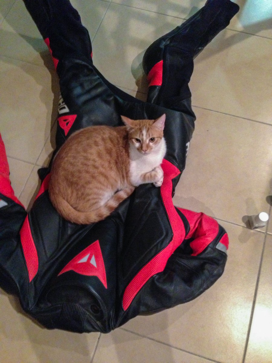 Never Ride Alone tweet media