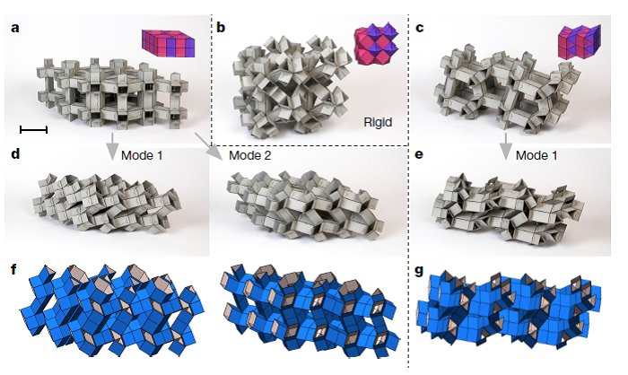 NaturePortfolio's tweet photo. A robust and scale-independent strategy for the design of reconfigurable architected materials is described https://t.co/VQgmffz94a https://t.co/AM2JYro7rq