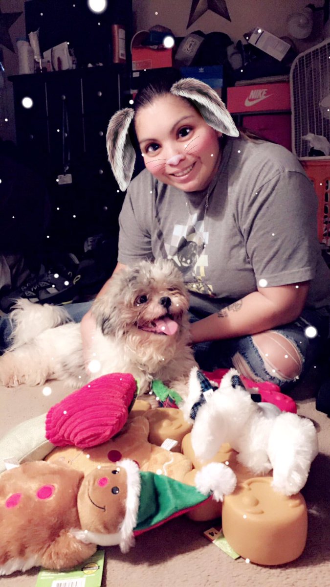 Nikkie_williams's tweet photo. #shihtzu #bear πΆπ #spoliedpuppy https://t.co/XcwlWnV0Kh