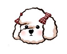 BBwallet's tweet photo. [🐶] 가을의 비비예요❤ https://t.co/8rhatiI4pj