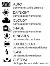 shutterIPB's tweet photo. 1. Periksa Settingan White Balance
2. Hidupkan Highlight Warning Kamera
3. Periksa Settingan ISO
4. Periksa Settingan Ukuran dan Format Foto https://t.co/UsKcf7vWKt