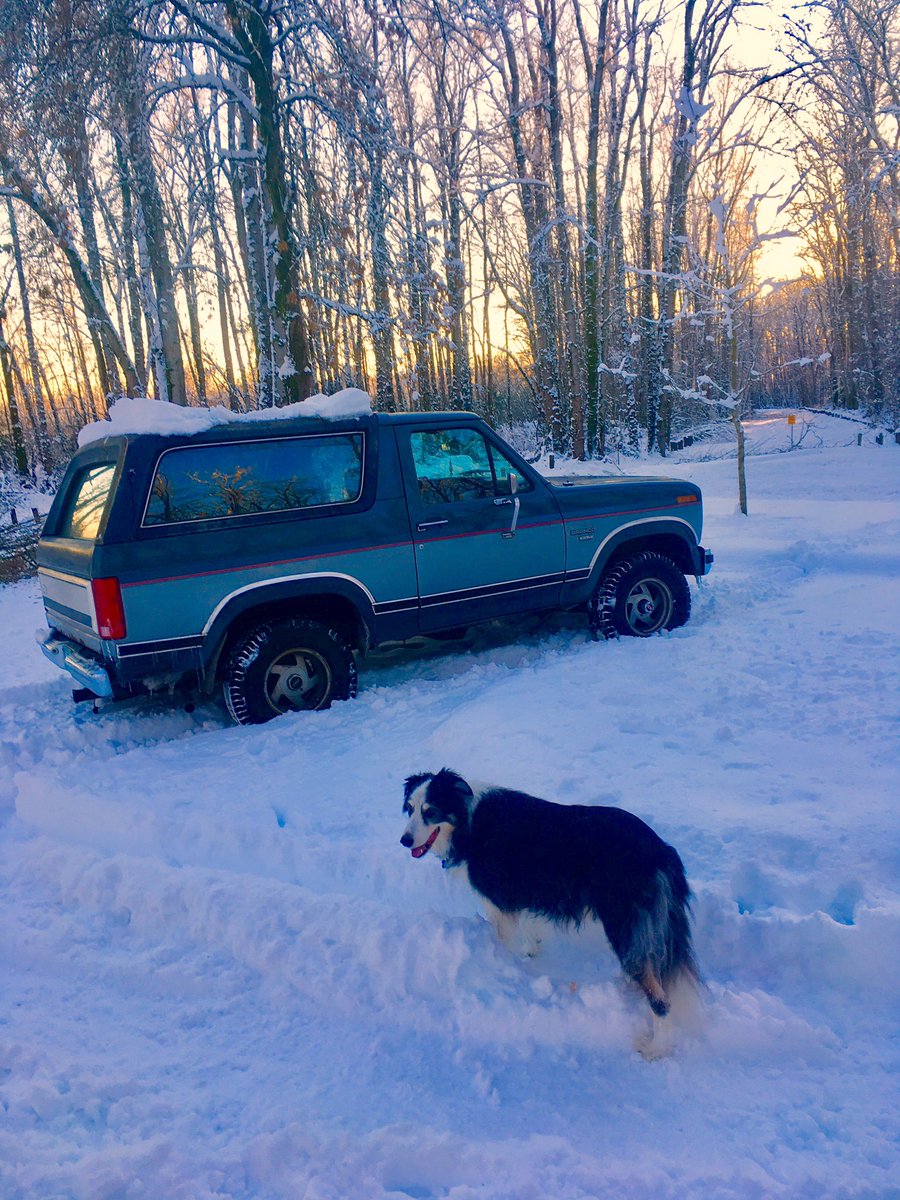 The Windsor Player tweet media