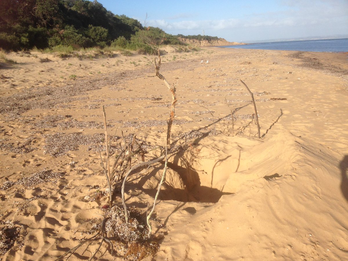 PIWalkabout's tweet image. 😀