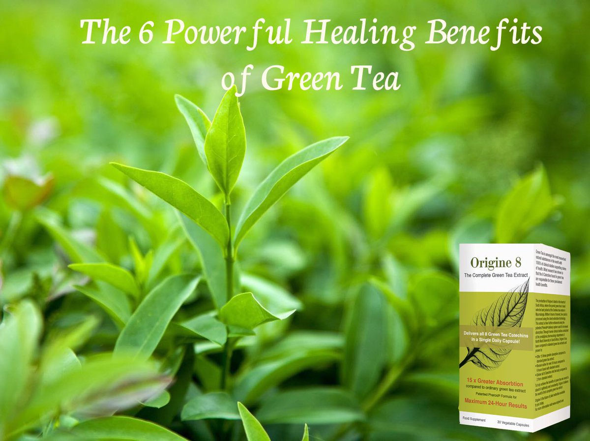 natmedworld's tweet photo. Did you know the major benefits of green tea stem from its rich supply of catechins, of which eight types are found in Origine8  @KGCoyne https://t.co/aO10eUtR4C