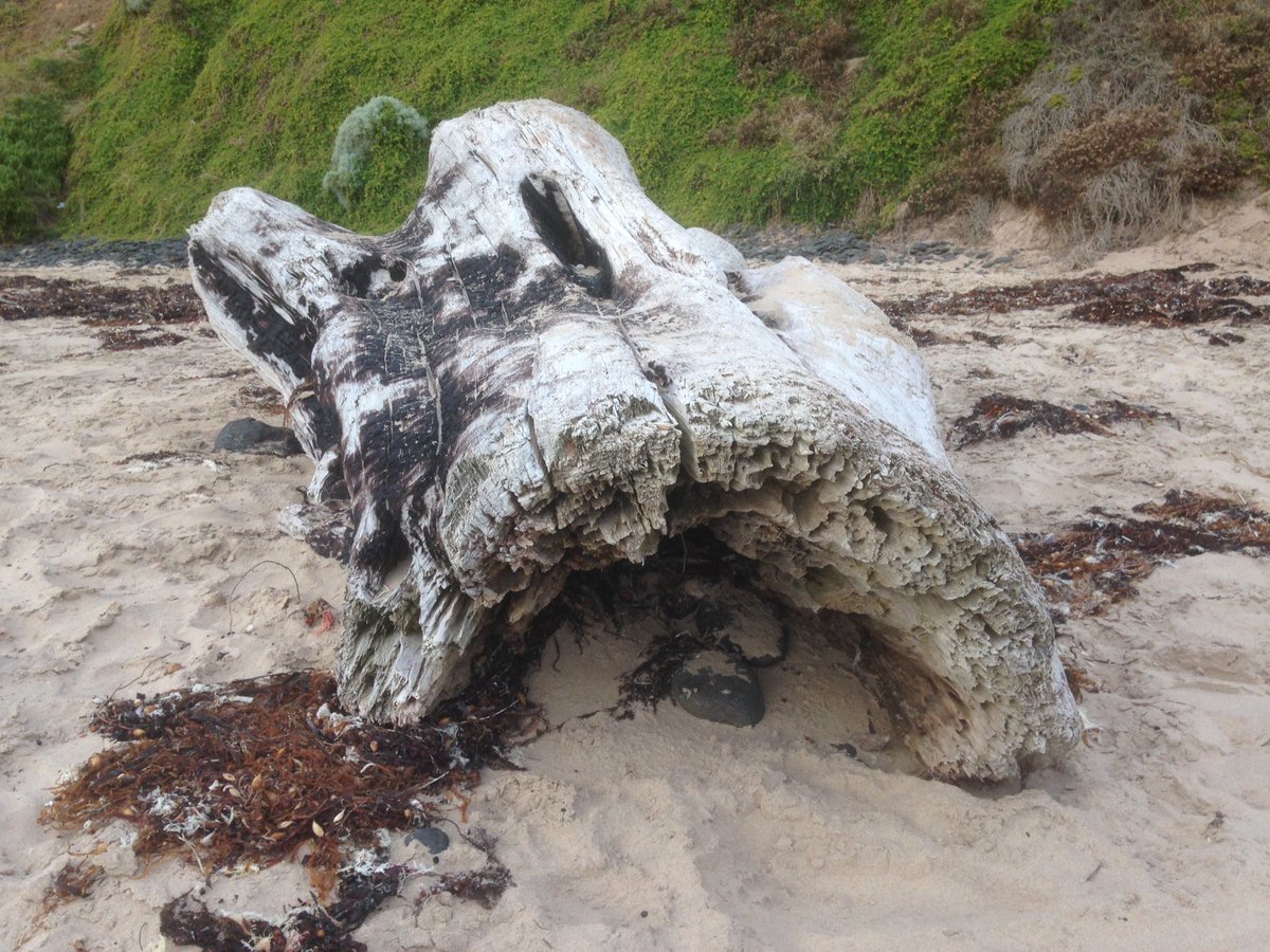 PIWalkabout's tweet image. Surf Beach