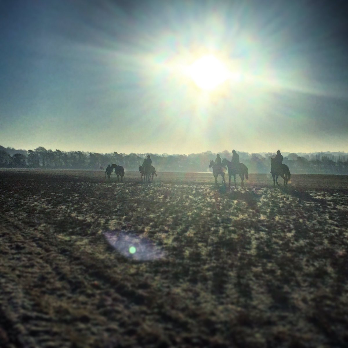 Harry250b's tweet photo. Up close to training this cold frosty morning! #longholes #pretraining https://t.co/ZUsGweAXzq