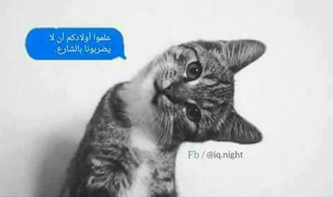 امنعوا أطفالكم من قتل النمل في الشارع
أو رمي الحصى على القطط والعصافير 
أخبروهم بأنهامن خلق الله
لا يجوز إيذائها دون سبب!
<a href="/w__es/">αℓ τнαнαвi ⁦</a>
<a href="/ya_alii313/">یاعلی00</a>