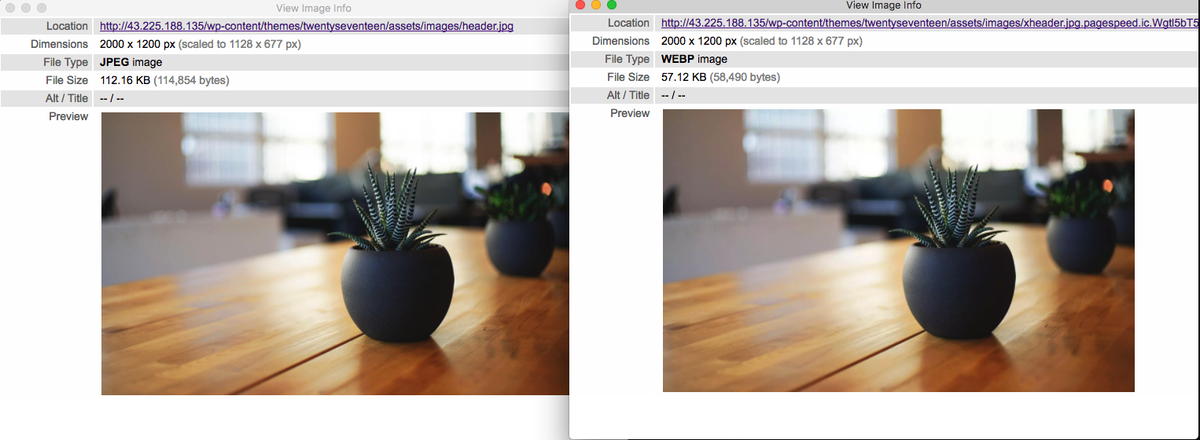 MiteshShah05's tweet photo. Why we need #Google #PageSpeed for #WordPress #NGINX

https://t.co/ufXZ8rKgjZ https://t.co/tqYsaD4zwO
