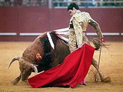 JnlJz's tweet photo. スペイン来たから
闘牛見たかったな🐃 https://t.co/m7P9AJc6FU
